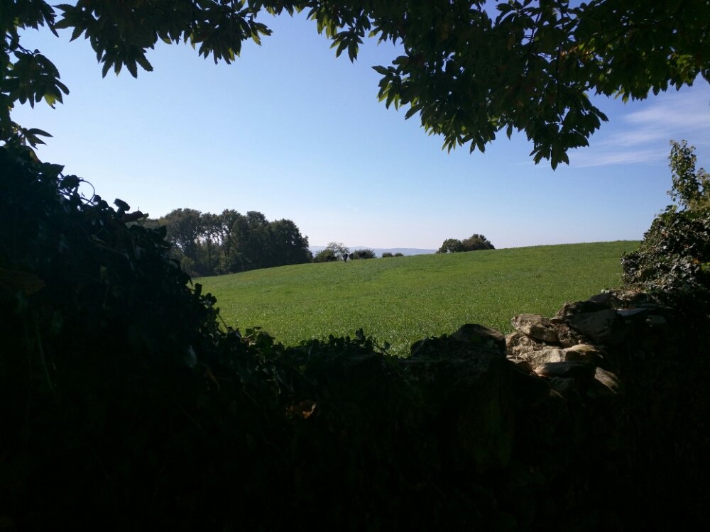 20150926_132431